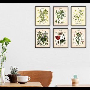 Vintage Psychoactive Plants Poster Floral Print Set Wall Art Prints Set of 6